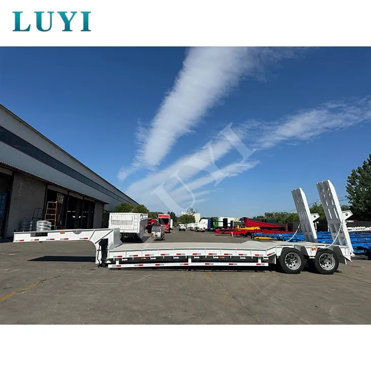 Tveir ás gæsir lágu rúmi hálfbifreiðar vörubílar